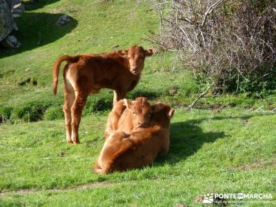 Las Machotas - Senderismo entresemana - Pico de El Fraile los Tres Ermitaños;excursiones de un dia